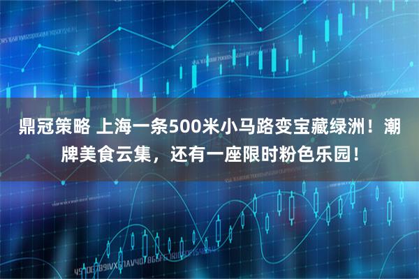 鼎冠策略 上海一条500米小马路变宝藏绿洲！潮牌美食云集，还有一座限时粉色乐园！